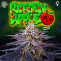 Rotten Apple (Perfect Tree) Feminisoidut