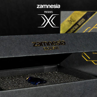 X (Zamnesia Seeds) Feminisoidut