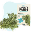 Koiruohon (Artemisia absinthium) siemenet