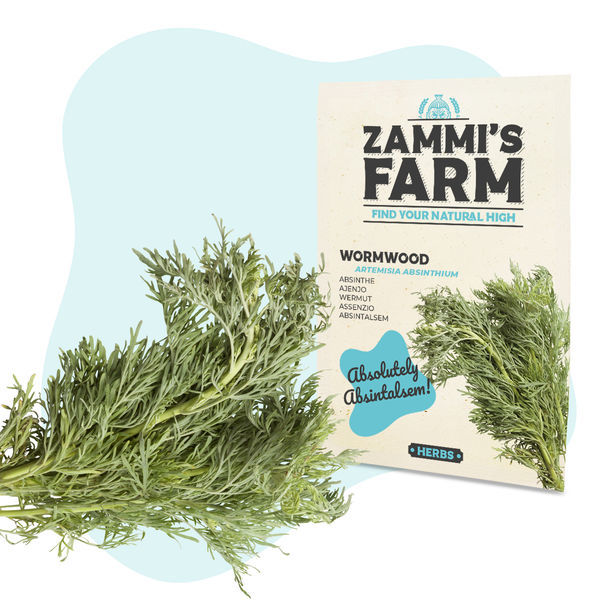 Koiruohon (Artemisia absinthium) siemenet
