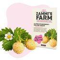 Alppimansikka – keltainen kermalajike (Fragaria vesca) siemenet