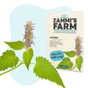 Kissanminttu (Nepeta mussinii) -siemenet