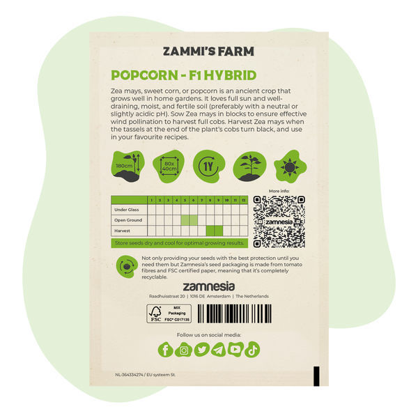 Popcorn (Zea mays) -siemenet – F1-hybridi