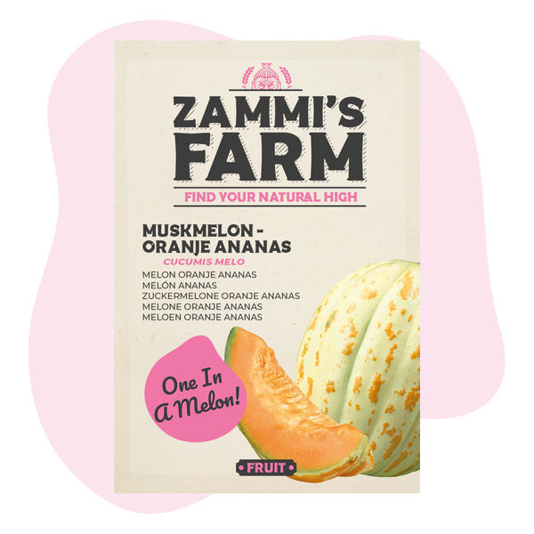 Muskottimeloni 'Oranje Ananas' (Cucumis melo) siemenet