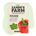 Paprika Yolo Wonder (Capsicum annuum) -siemenet
