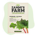 Victoria-raparperi (Rheum undulatum) -siemenet