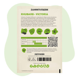 Victoria-raparperi (Rheum undulatum) -siemenet