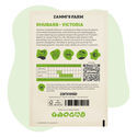 Victoria-raparperi (Rheum undulatum) -siemenet