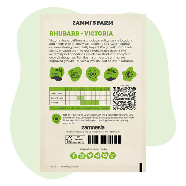 Victoria-raparperi (Rheum undulatum) -siemenet