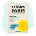 Voikukan (Taraxacum officinale) siemenet