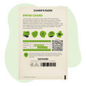 Punaisen lehtimangoldin (Beta vulgaris) siemenet