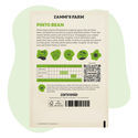 Pintopavun (Phaseolus vulgaris) siemenet