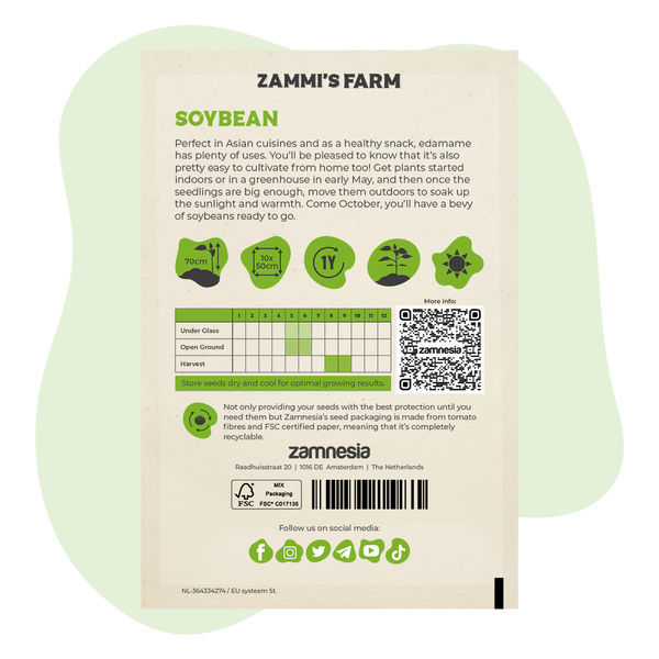 Soijapavun 'Edamame Green Shell' -siemenet (Glycine max)
