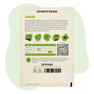 Sipuli 'Rossa lunga di Firenze' (Allium cepa) -siemenet