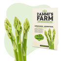 Parsan 'Argenteuil' -siemenet (Asparagus officinalis)