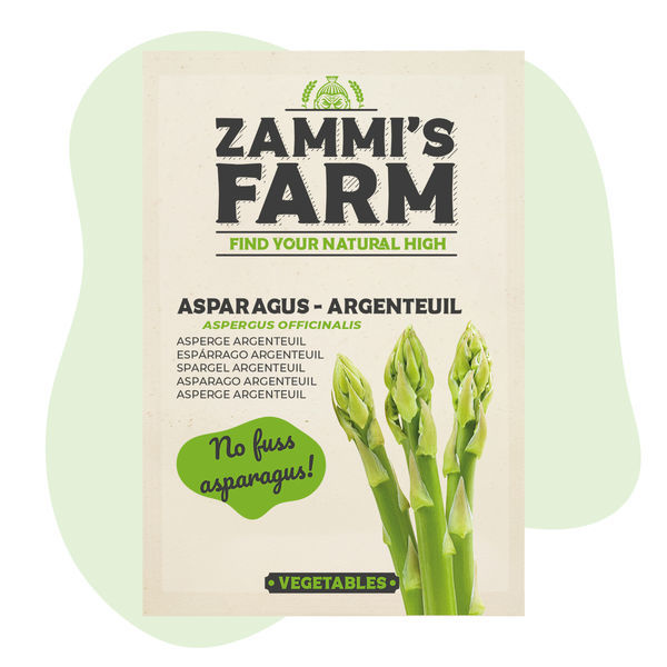 Parsan 'Argenteuil' -siemenet (Asparagus officinalis)