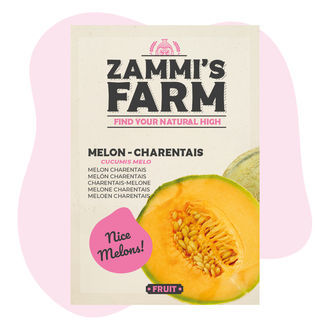 Charentais-melonin (Cucumis melo) siemenet