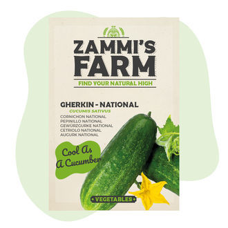 Kurkun 'National' (Cucumis sativus) siemenet
