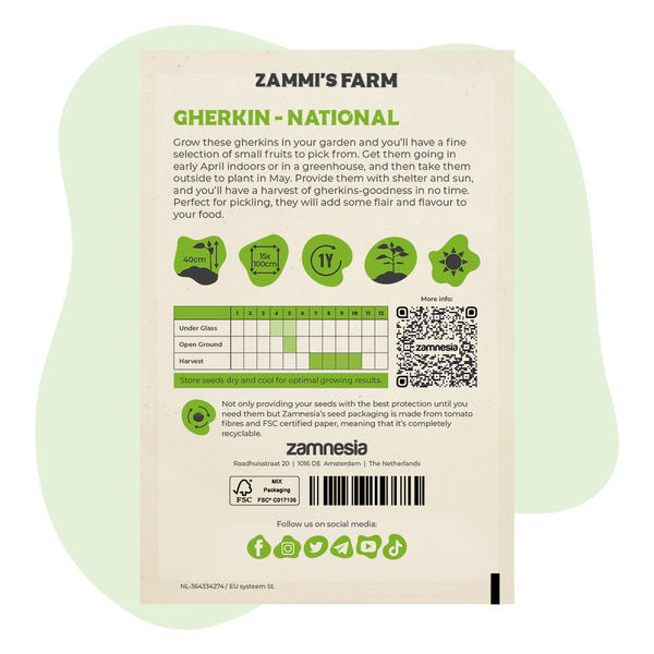 Kurkun 'National' (Cucumis sativus) siemenet