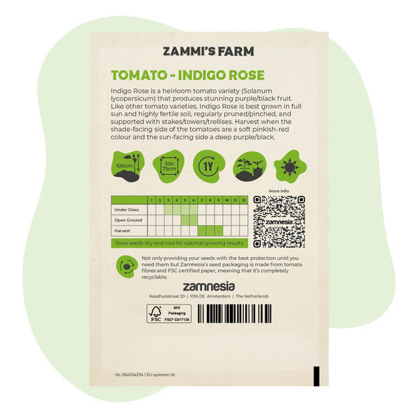 Indigo Rose -tomaatin (Solanum lycopersicum) siemenet