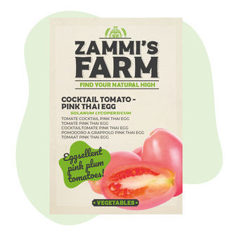 Cocktail-tomaatin 'Thai Pink Egg' (Solanum lycopersicum) siemenet