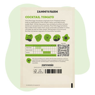 Cocktail-tomaatin 'Thai Pink Egg' (Solanum lycopersicum) siemenet