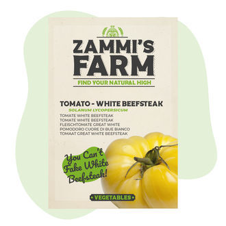 Great White -pihvitomaatin (Solanum lycopersicum) siemenet