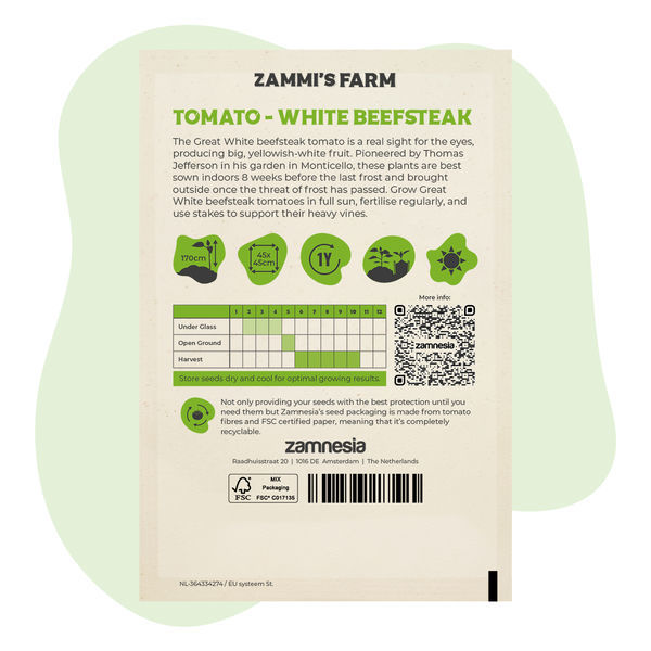 Great White -pihvitomaatin (Solanum lycopersicum) siemenet