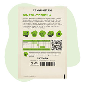 Tigerella-tomaatin (Solanum lycopersicum) siemenet