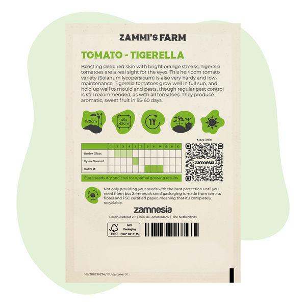 Tigerella-tomaatin (Solanum lycopersicum) siemenet