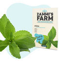 Stevia (Stevia rebaudiana) -siemenet