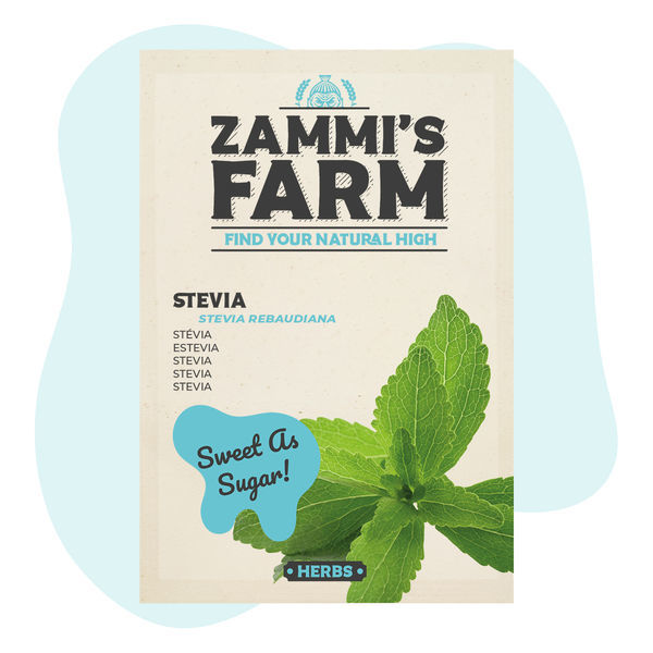 Stevia (Stevia rebaudiana) -siemenet