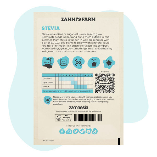 Stevia (Stevia rebaudiana) -siemenet