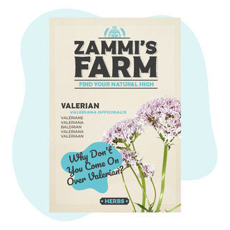 Valeriaanan (Valeriana officinalis) siemenet