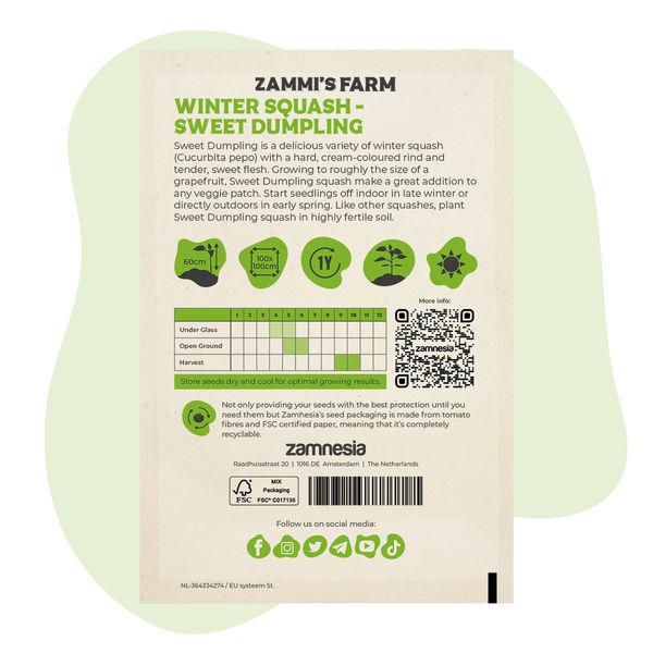 Talvikurpitsa Sweet Dumpling (Cucurbita pepo) -siemenet