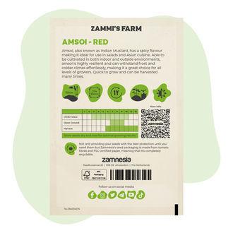 Amsoi Red (Brassica juncea var.rugosa) -siemenet