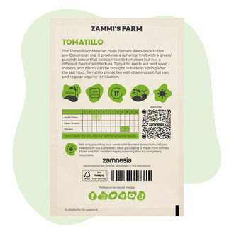tomatillon (Physalis ixocarpa) siemenet