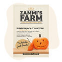 Kurpitsa Jack O' Lantern (Cucurbita pepo) -siemenet