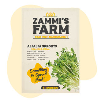 Sinimailasen idut (Medicago sativa) -siemenet