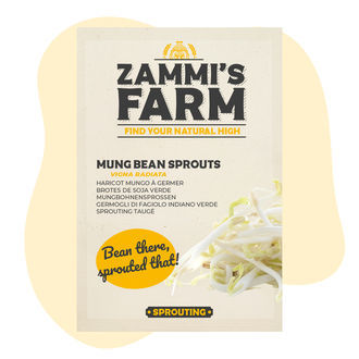 Mungpavun idut (Vigna radiata) – siemenet