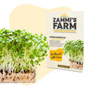 Krassin idut (Lepidium sativum) -siemenet