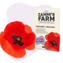 Peltounikko 'Single Red' (Papaver rhoeas) -siemenet