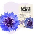 Ruiskaunokin 'Blue Ball' (Centaurea cyanus) -siemenet