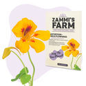 Krassi 'Single Flowered' (Tropaeolum majus) -siemenet