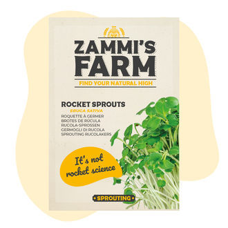 Rukolan versojen (Eruca sativa) siemenet