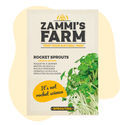 Rukolan versojen (Eruca sativa) siemenet