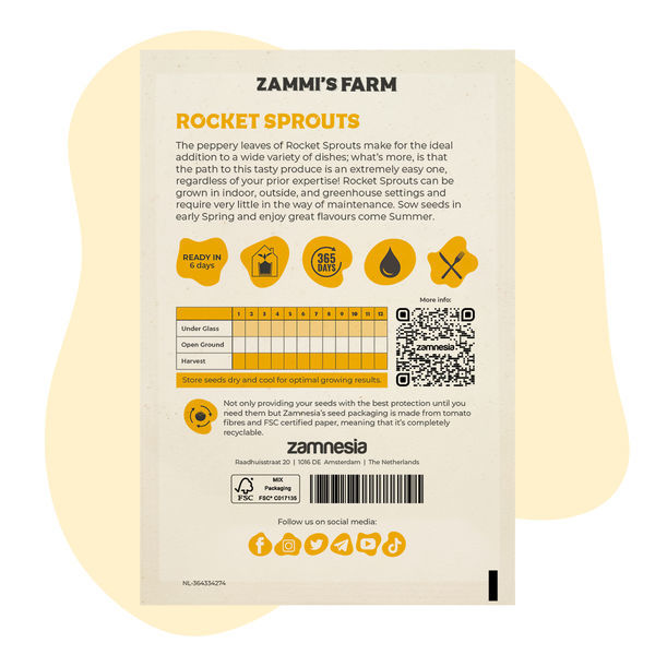 Rukolan versojen (Eruca sativa) siemenet