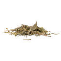 Sinicuichi (Heimia salicifolia) 20 grammaa