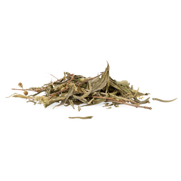 Sinicuichi (Heimia salicifolia) 20 grammaa