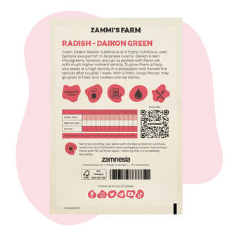 Mikroversot: retiisi – Daikon Green (Raphanus sativus) -siemenet